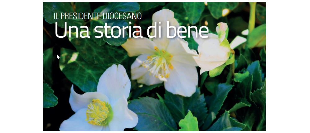 AC - Insieme Novembre 2022